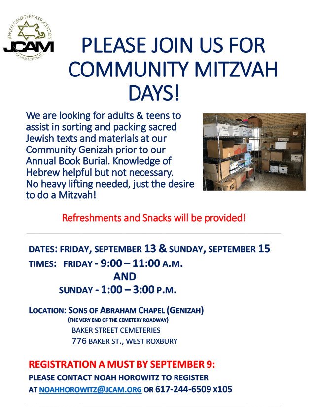 Community Mitzvah Days